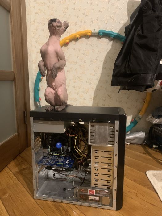 Компютер GT 730 2Gb/Intel G4560