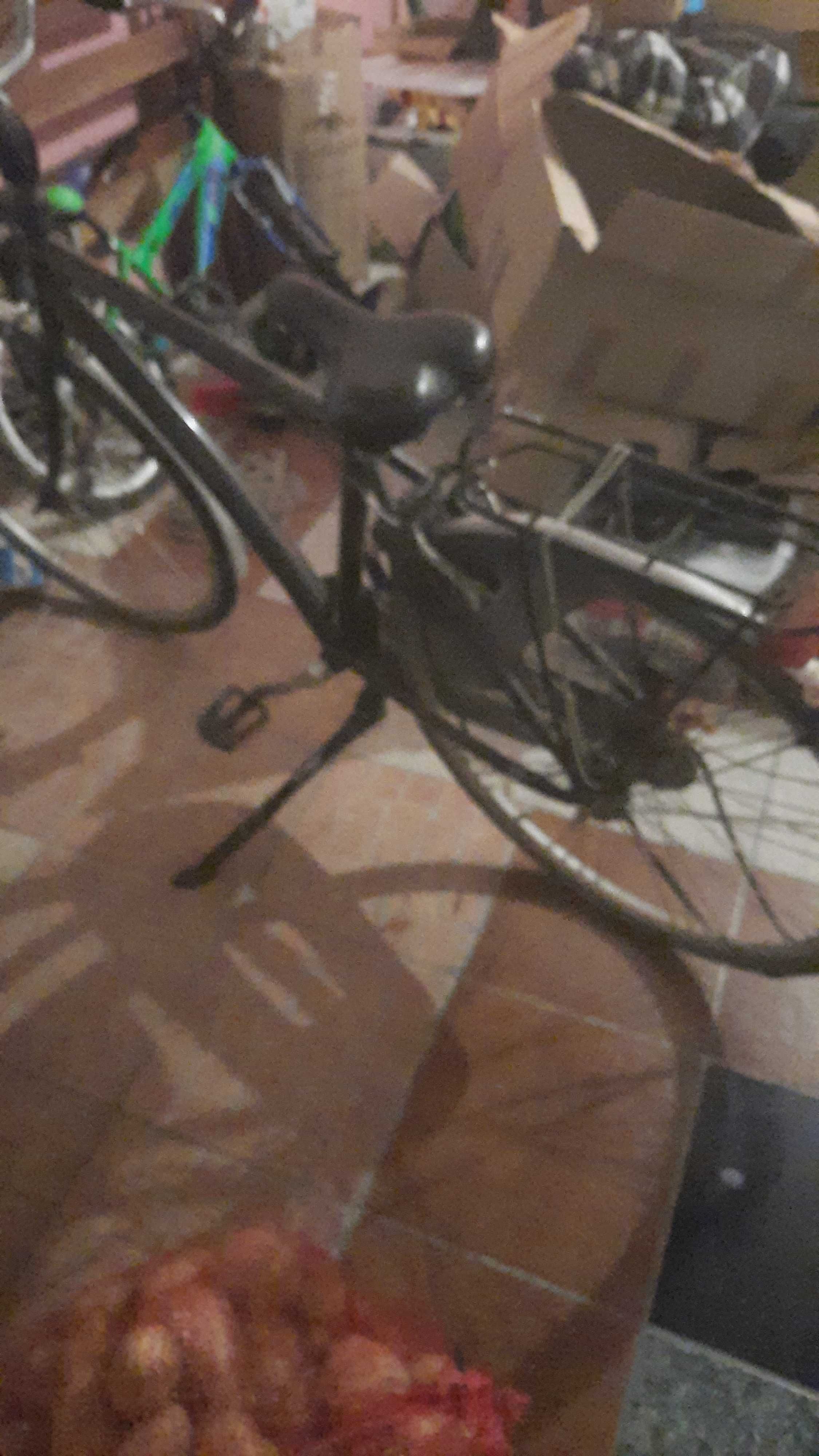 Bicicleta holandesa