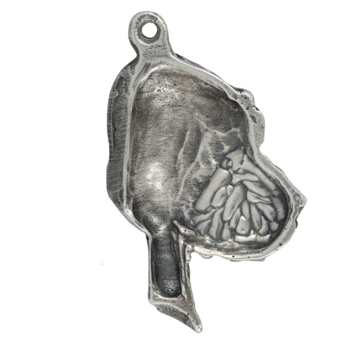 Bloodhound naszyjnik w pudełku Art-Dog
