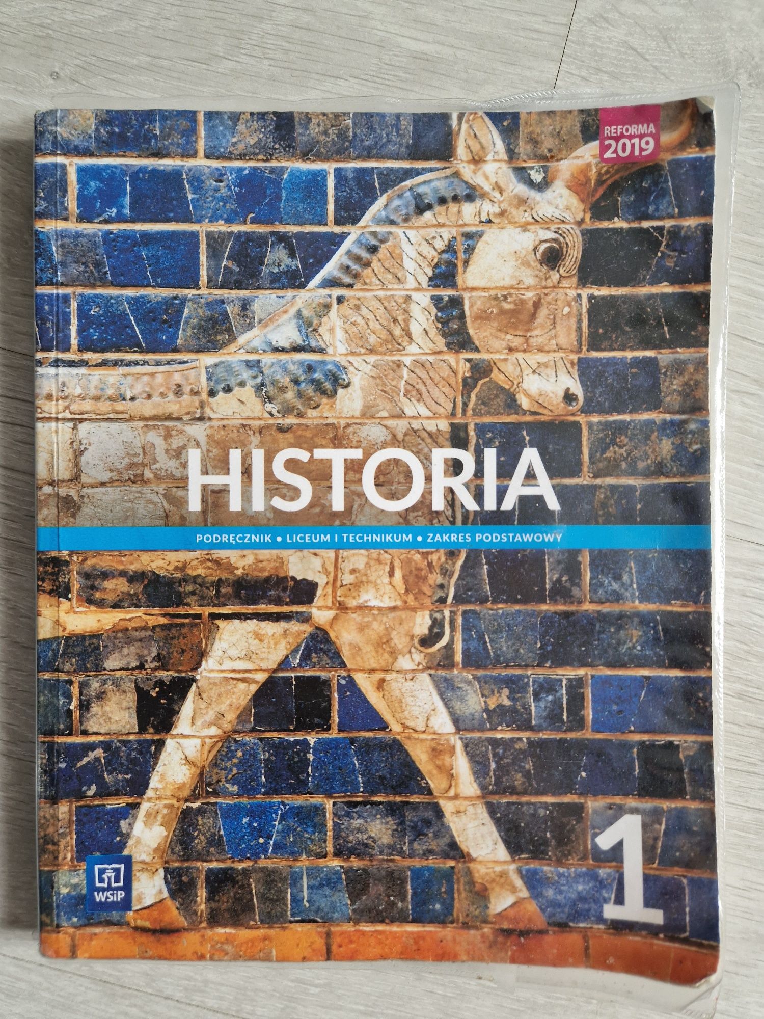Historia, klasa 1, liceum/technikum, WSiP