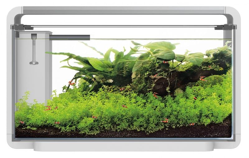 Aquário SuperFish Home 30