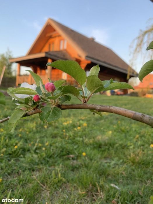 Sprzedamy wyjątkowy dom z bala - prywatnie, bez pośredników
