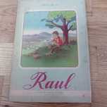 vendo livro Raul sarah beirão