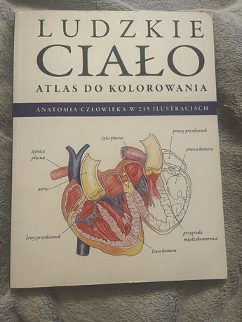 Ludzkie ciało- atlas do kolorowania