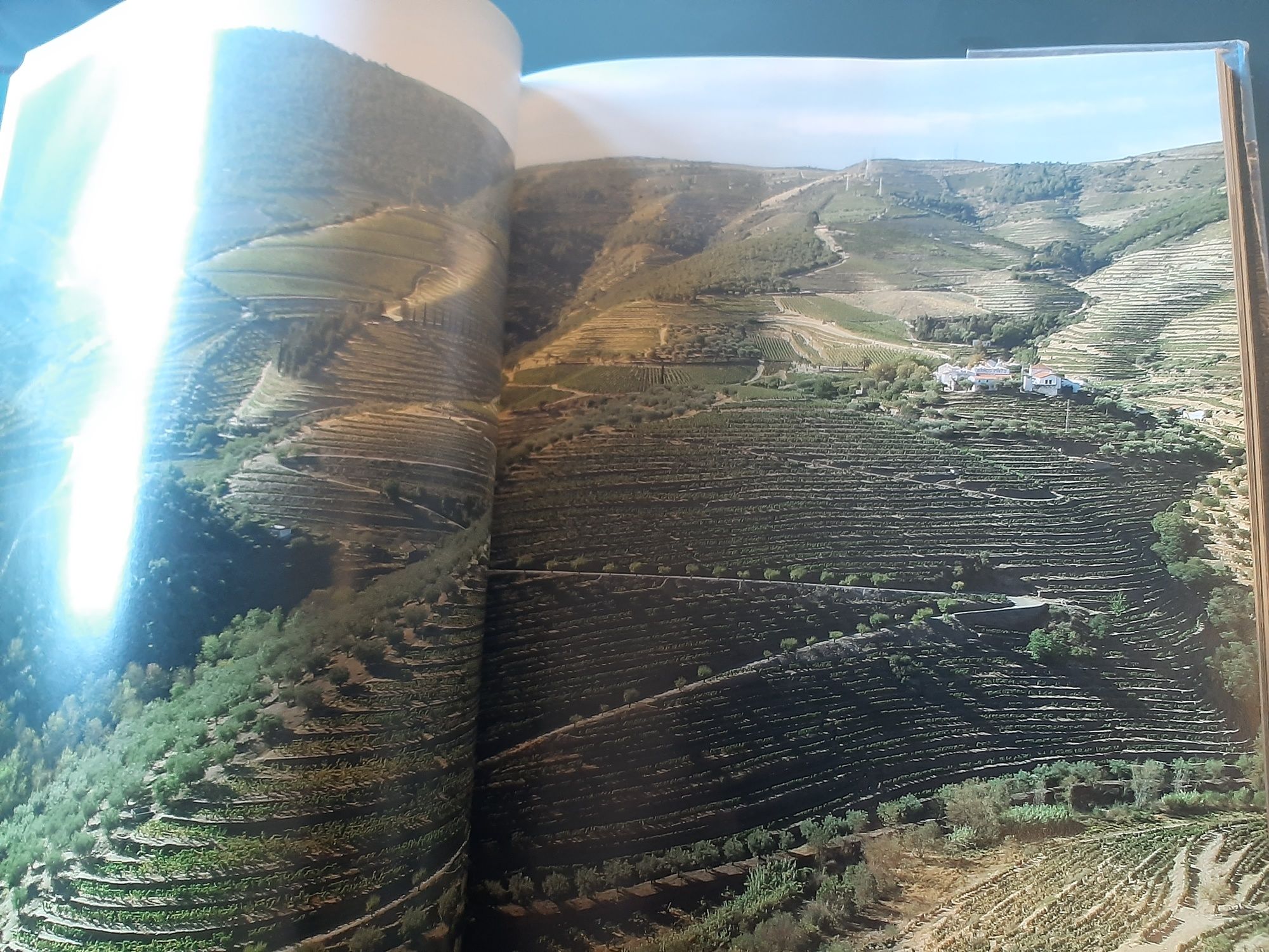 As Rotas dos Vinhos do Porto, do Douro e de Trás-os-Montes