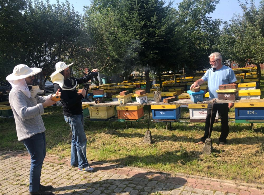 Matki pszczele Czerwiące - GPSowa