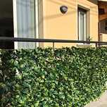 Żywopłot syntetyczny 3D z liści Photinia na siatce 150x 300  cm