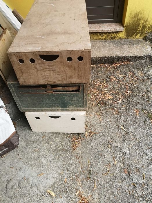 3 cestos para pombos
