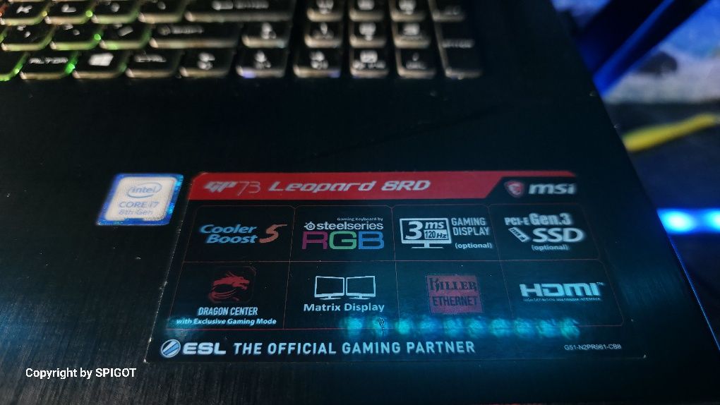 Laptop gamingowy MSI GP 73 Leopard 8RD