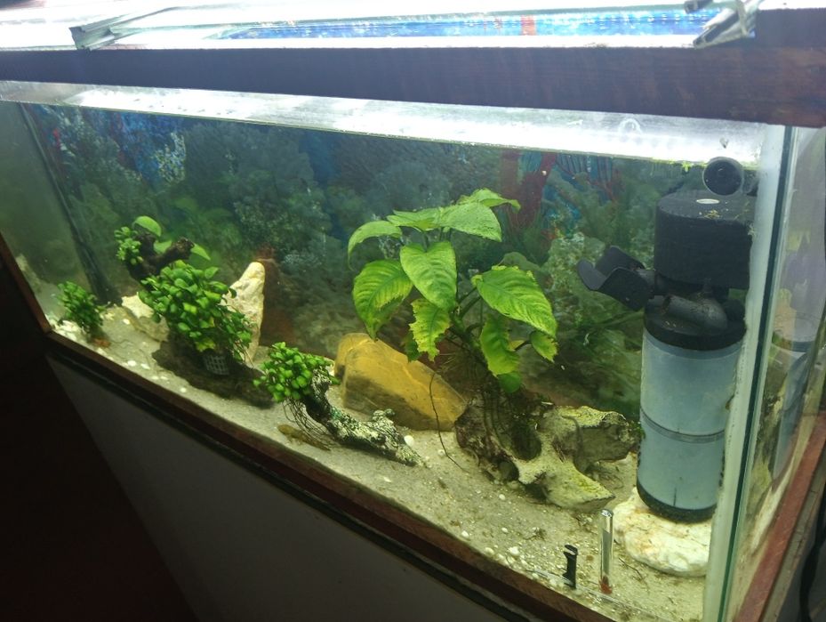 Aquário 120Litros