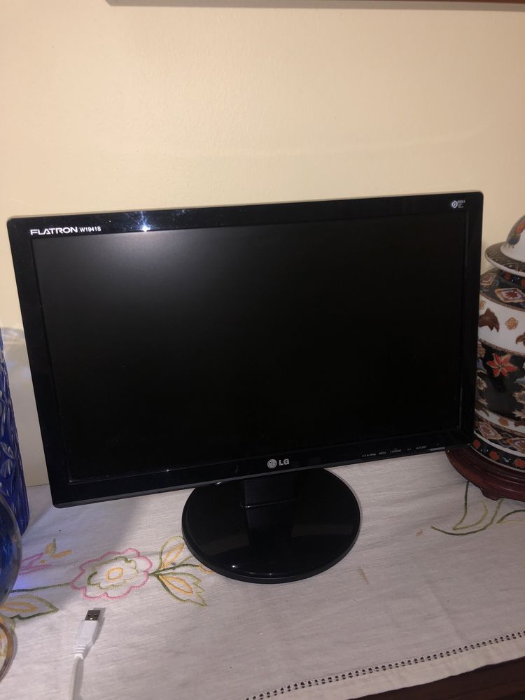 Monitor LG + cabos d-sub e ac-in