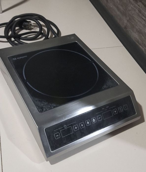 Індукція професійна