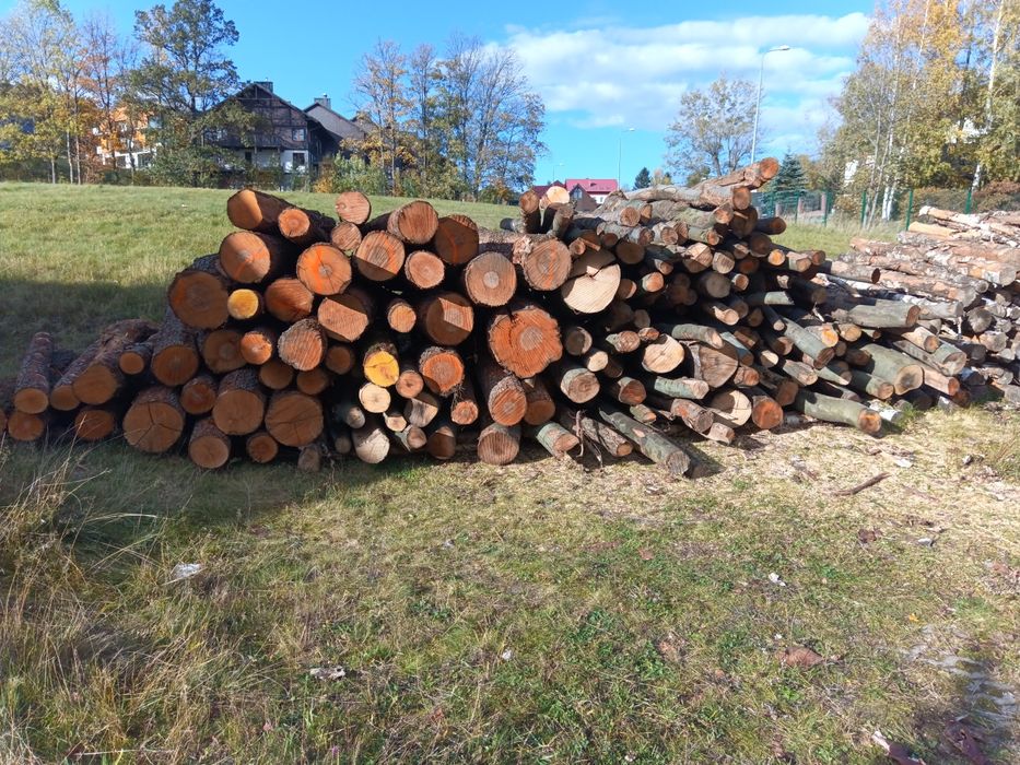 Drewno kominkowe Buk Dąb Jesion