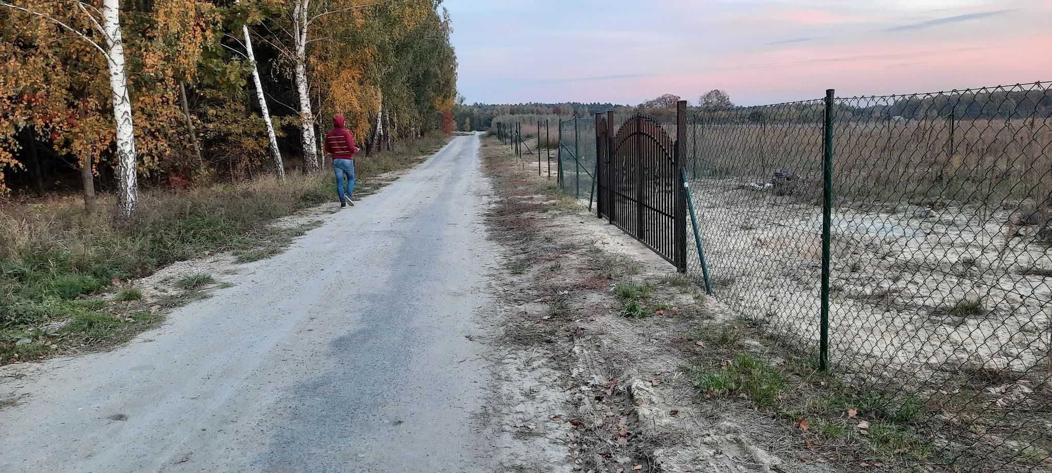 Działka niedaleko jeziora Rotcze. Grabniak.