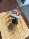 Pastel de feijlada