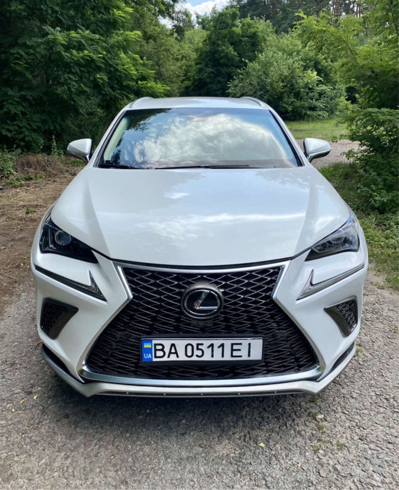 Lexus NX 300, 2019