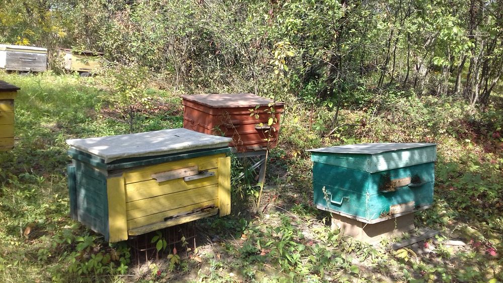 Продам дачу Сади Мичурина