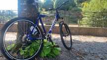 Bicicleta btt aro 26