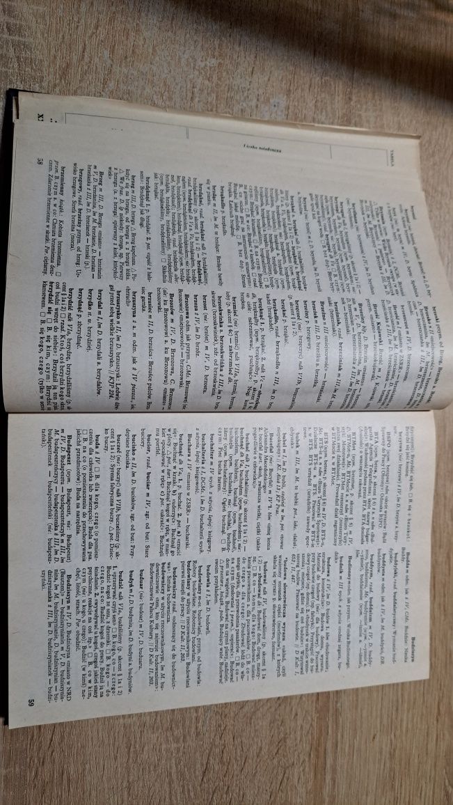 Słownik poprawnej polszczyzny PWN 1976