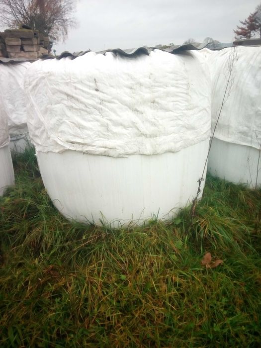 Sianokiszonka i siano