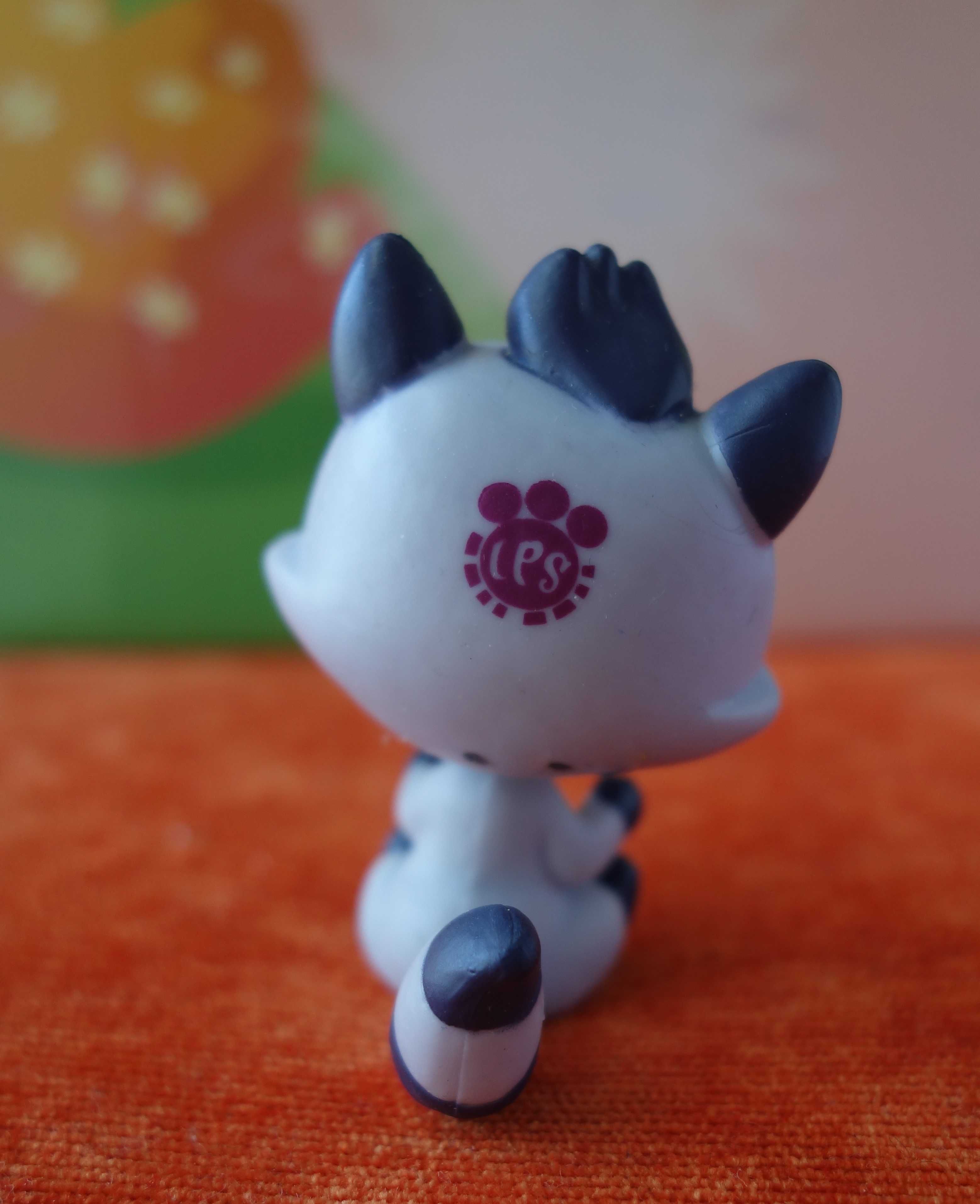 Littlest Pet Shop, LPS - figurka szop pracz Mackie McMask #3750 HASBRO
