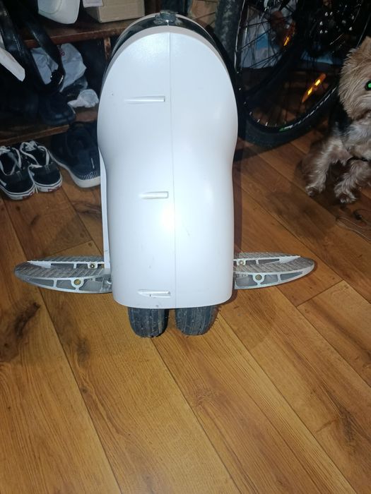 Моноколесо Rover Wind-2