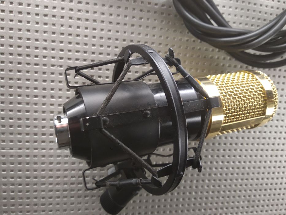 Мікрофон ВМ 800  поп фільтр