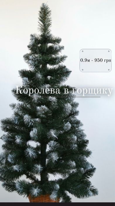 Ялинка в горщику 0.9м