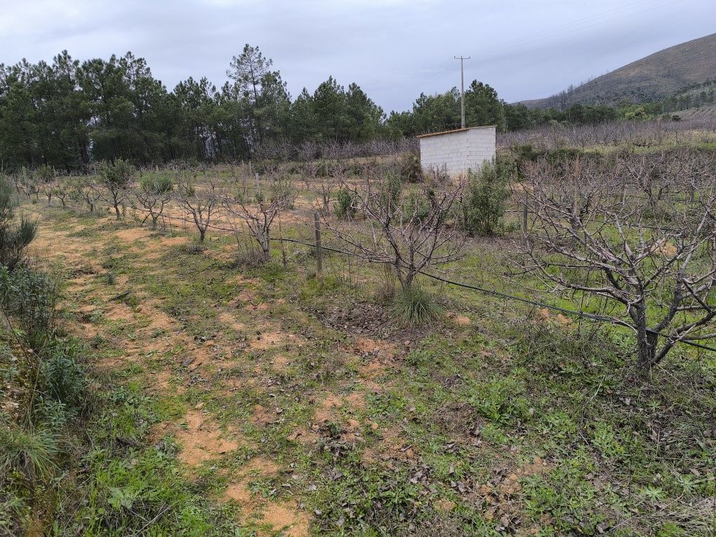 Terreno 8400m2,  com ruina granito, Catrão, Vale de Prazeres