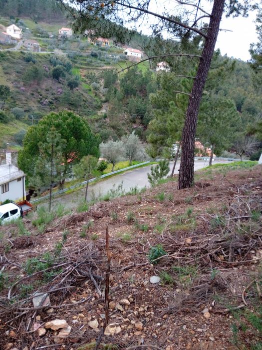 Terreno rústico na aldeia de Ladeira