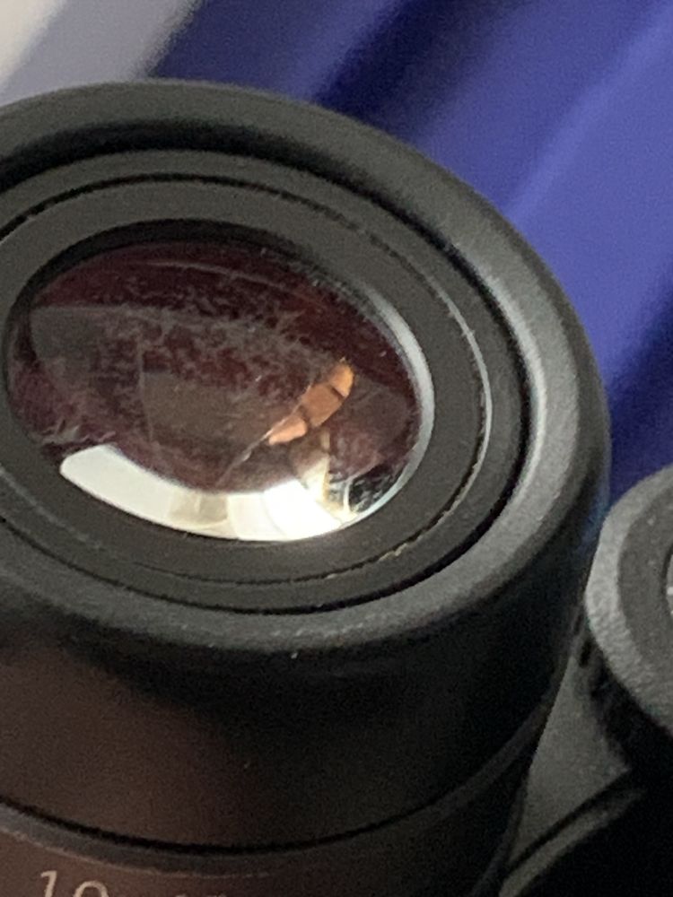 Бинокль Carl Zeiss Victory 10x42 HT