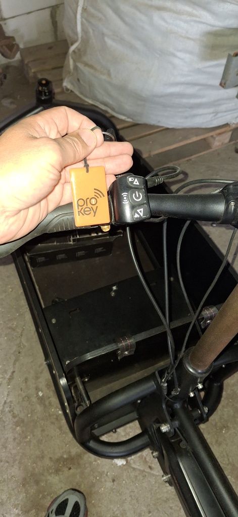 Ryksza Elektryczna