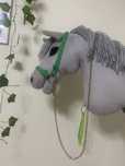 Piękna zielona prezenterka dla hobby horse