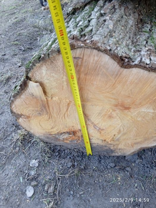 Кругляк   груша ...