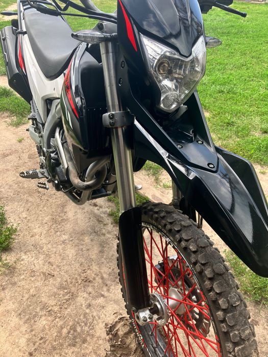 Продам лося 250 стан непоганий