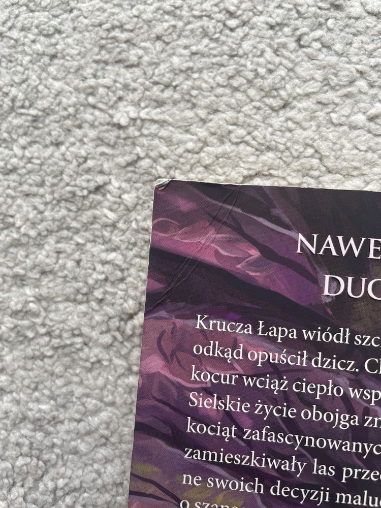 Wojownicy, nowela, Pożegnanie Kruczej Łapy