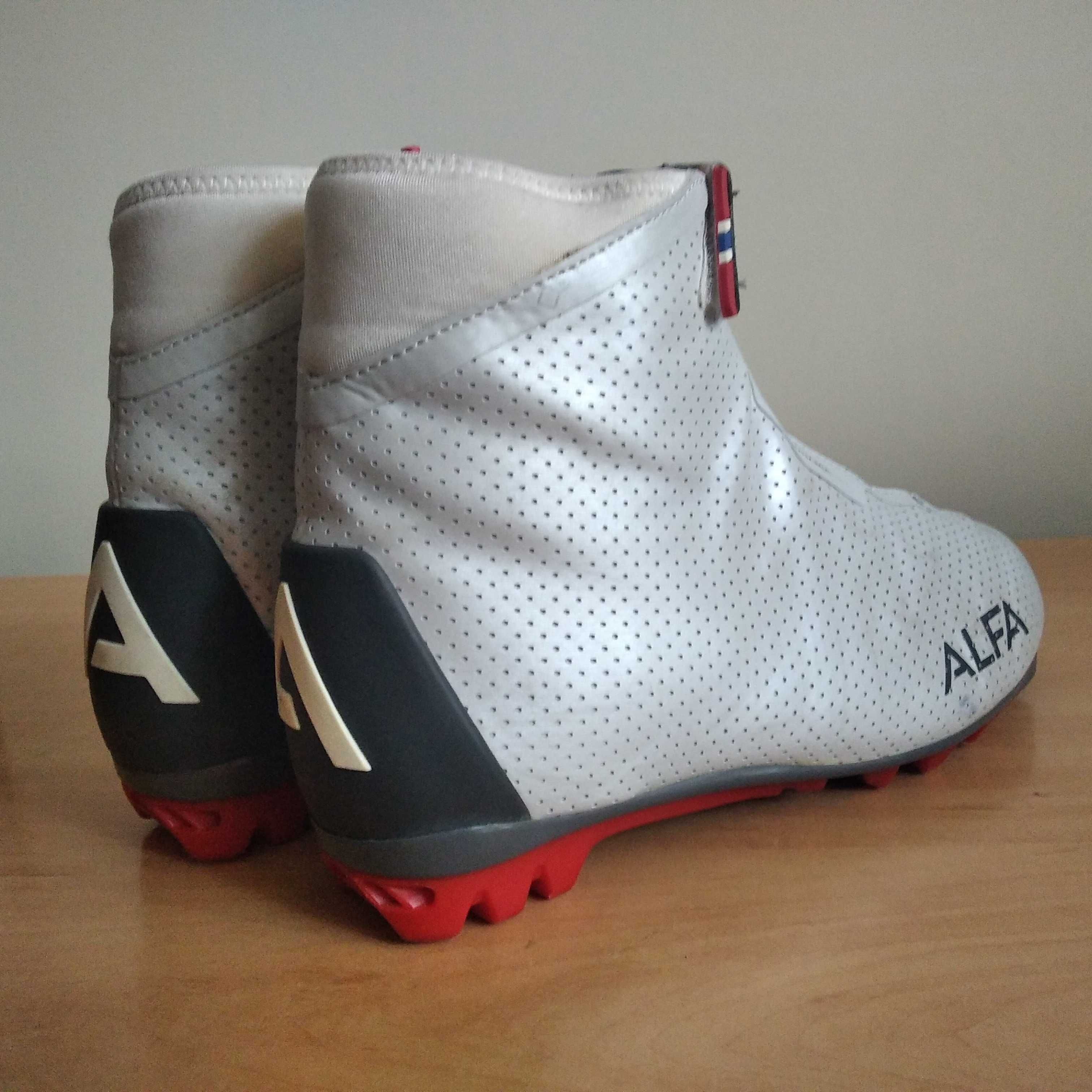 Buty narciarskie biegowe ALFA HORIZON 1.0 DYNAMIC GTX roz eu-39