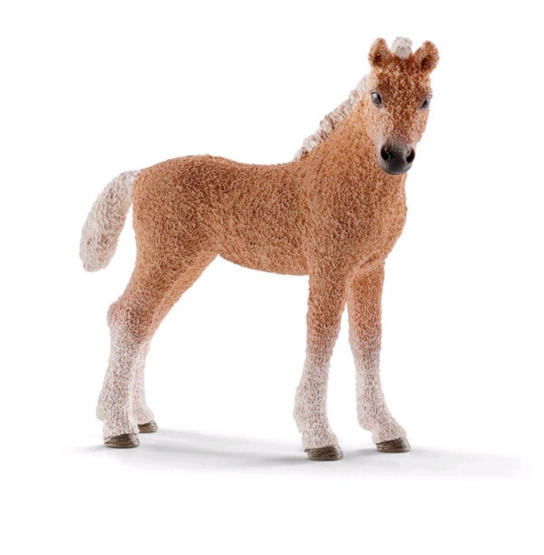 Schleich - koń źrebię Bashkir Curly wycofany