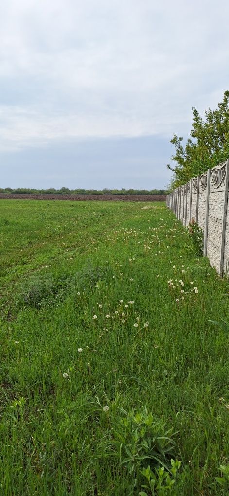 Продам участок в черте города. Рядом с поселком Докучаево