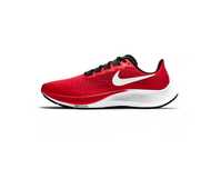 Męskie buty sportowe Nike Air Zoom Pegasus 37