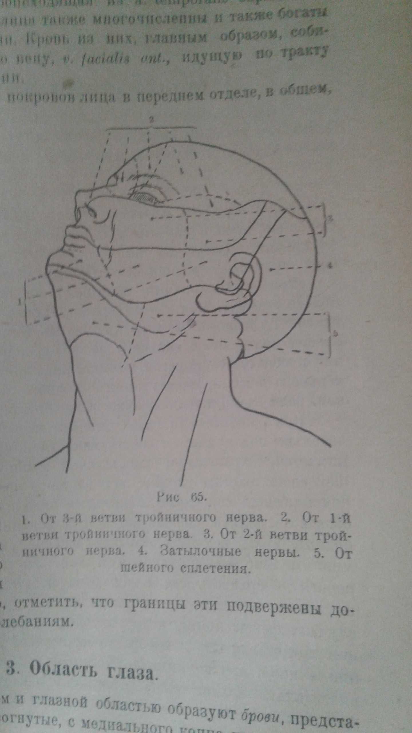 Топографическая анатомия 1925 год украинское издание