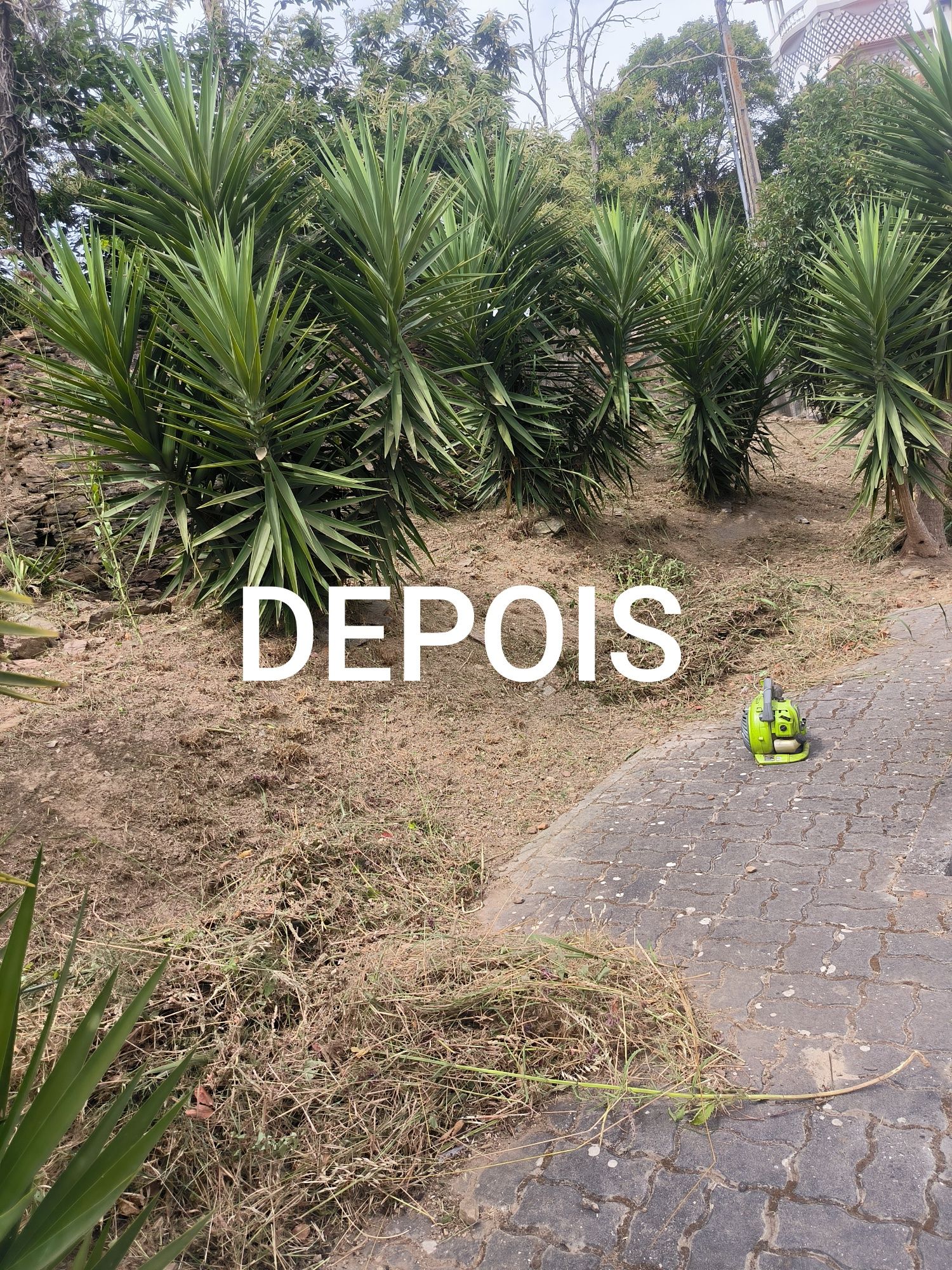 Fasso limpezas de terrenos, jardins,casa etc.. orçamento gratis