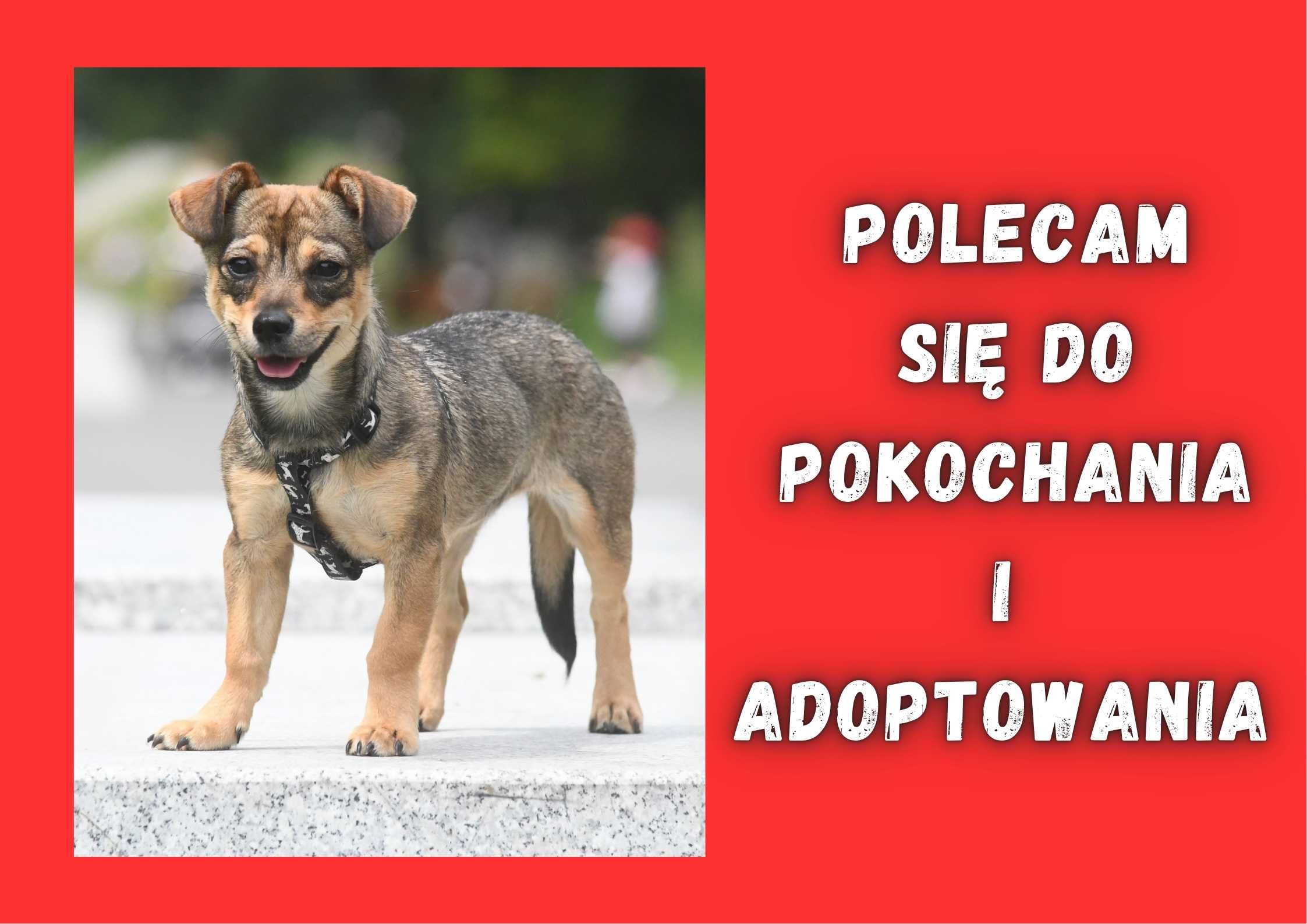 LEJTA - marzy o nowym domu i rodzinie :)