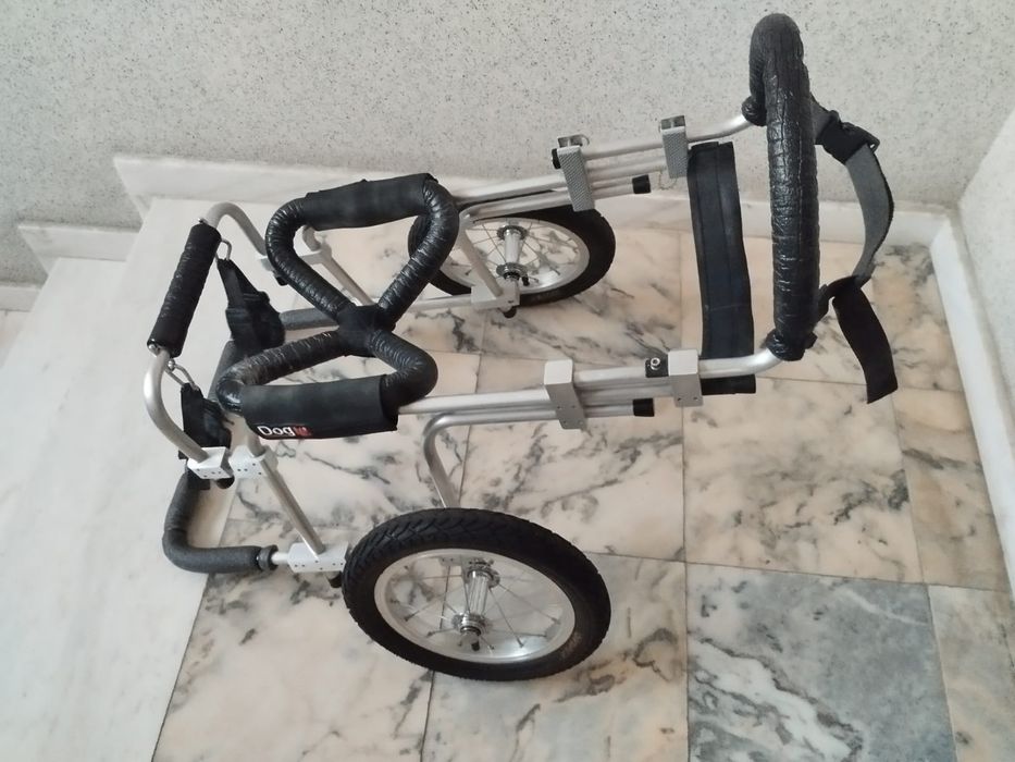 Cadeira de rodas para cão.