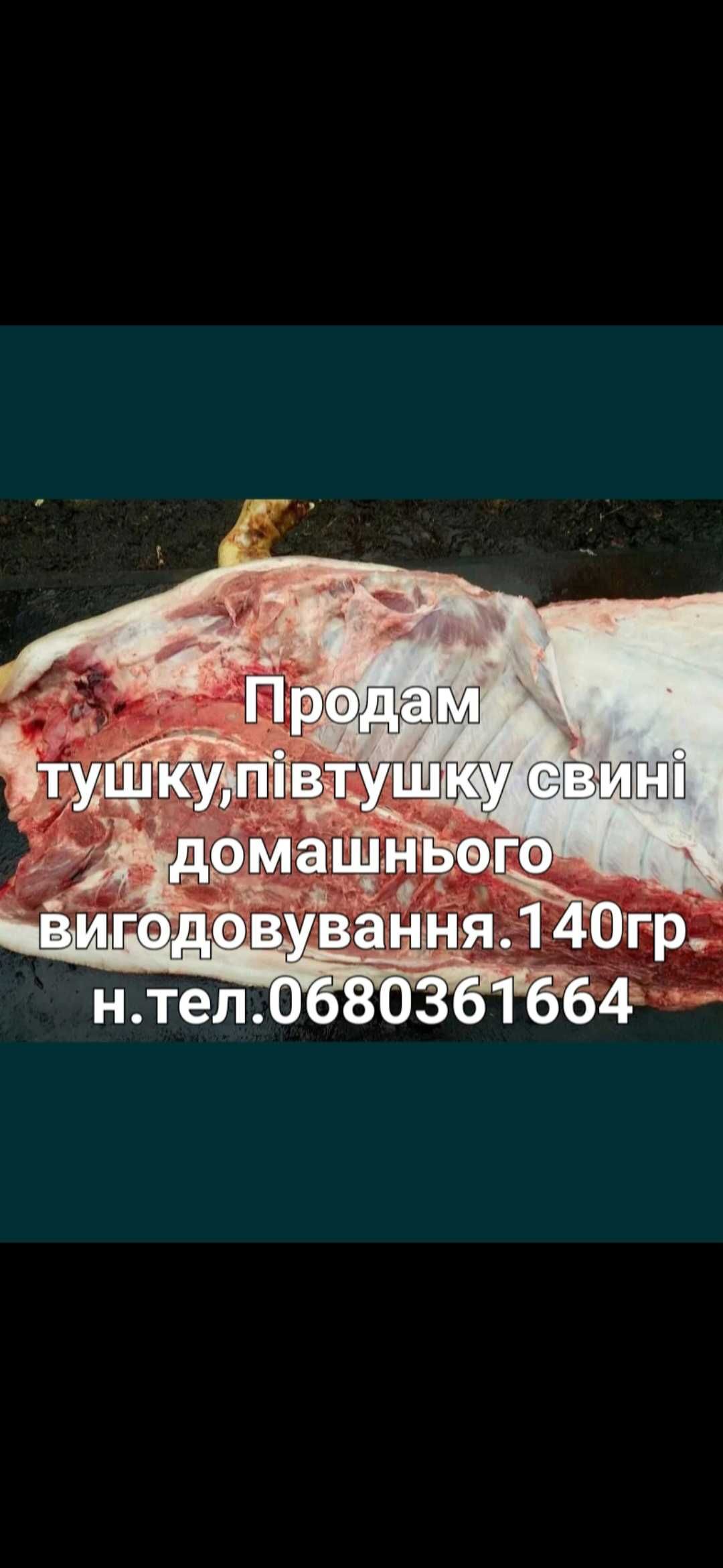 Продам свинне м'ясо