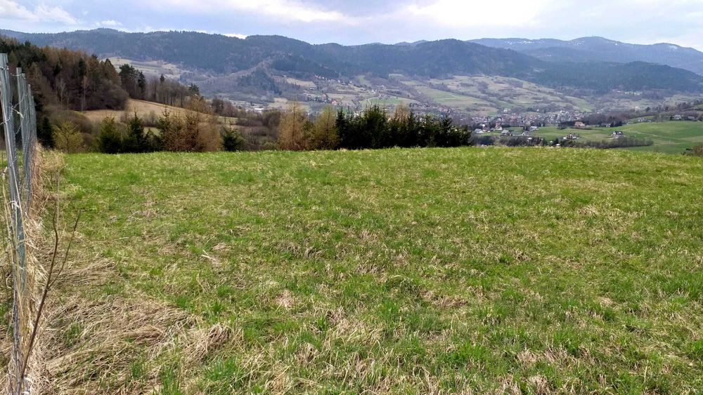 Piękna działka z widokiem na Góry Kamienica Gorce 56 arów