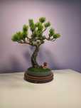 Sztuczne drzewko. Imitacja bonsai.