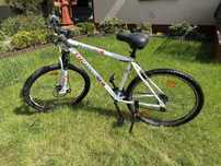 Rower górski KS Cycling Carnivore 27.5” – Shimano, rama L