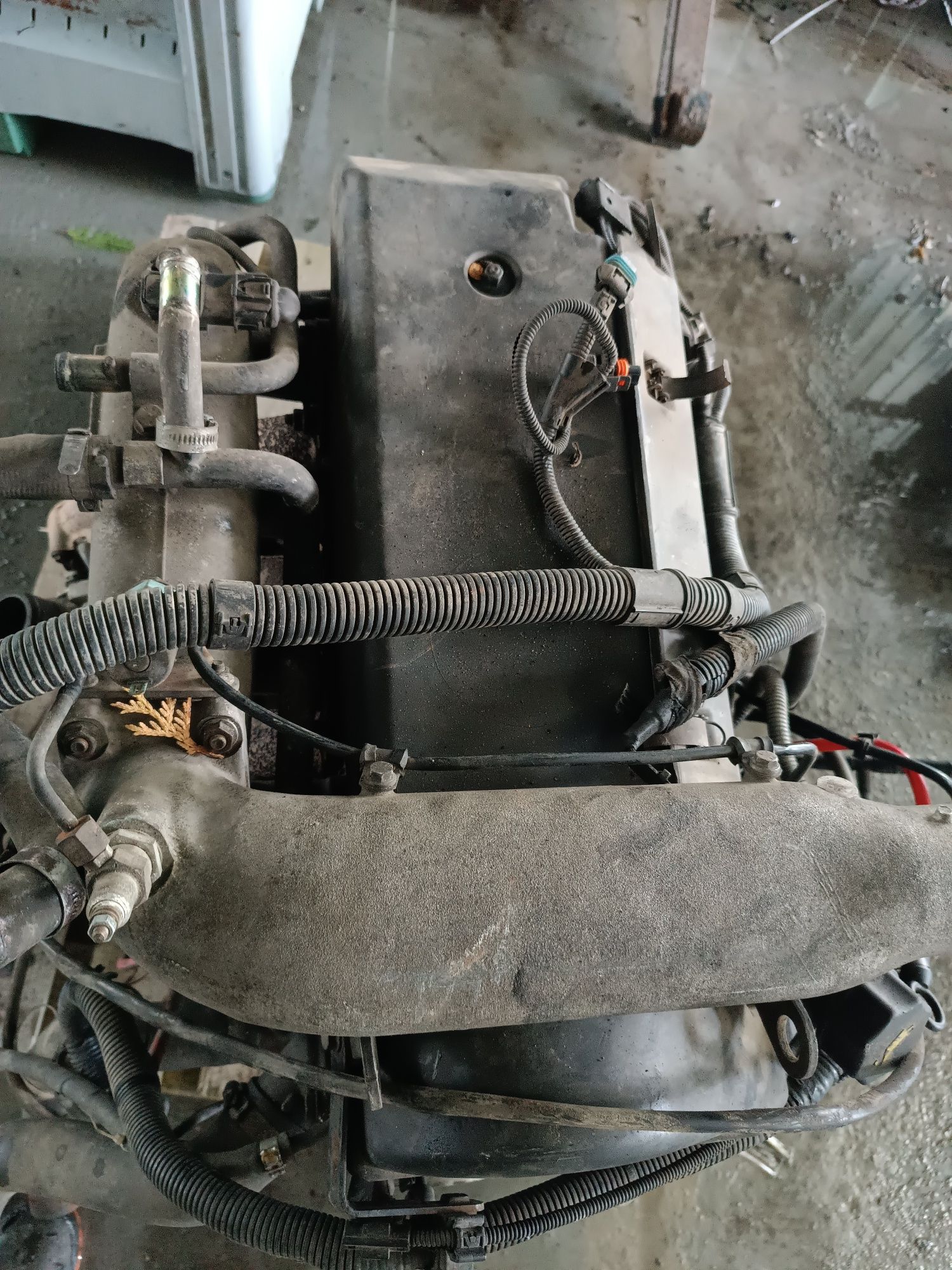 Silnik kompletny 8140.43n Iveco daily III 65c15 2.8hpi 146km turbo