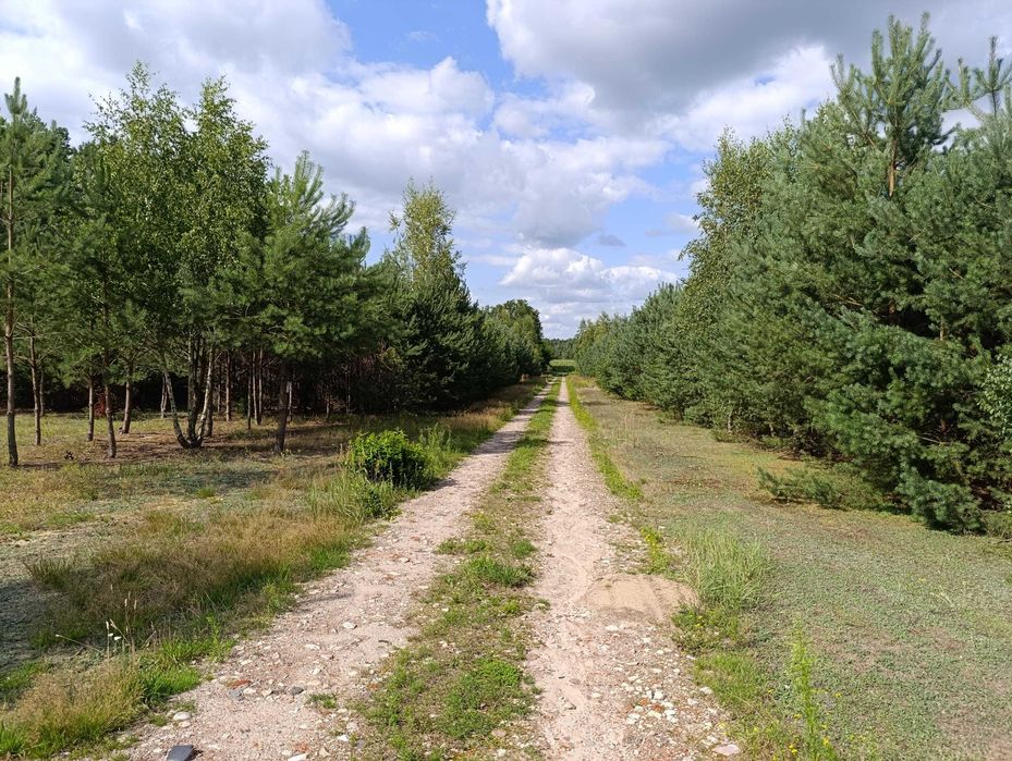 16 działek budowlanych od 1040m2 do 1254m2, Ludowinka gm. Wodzierady